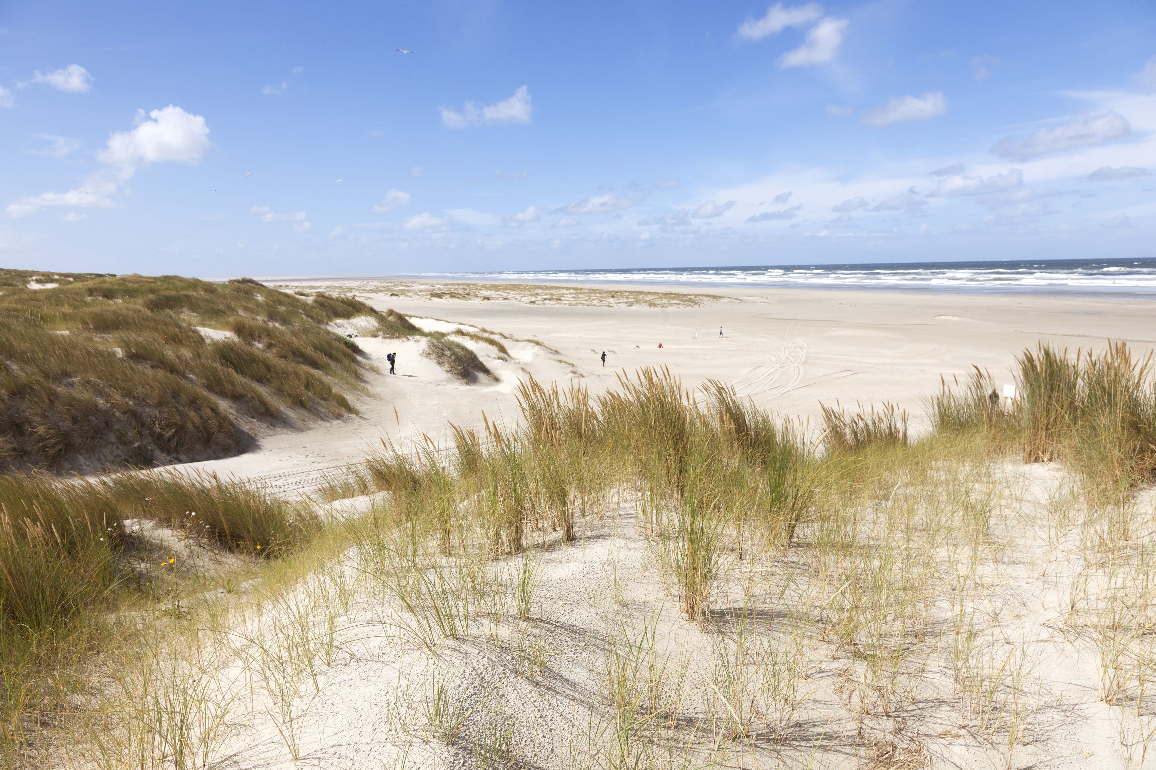 Ligging van het hotel