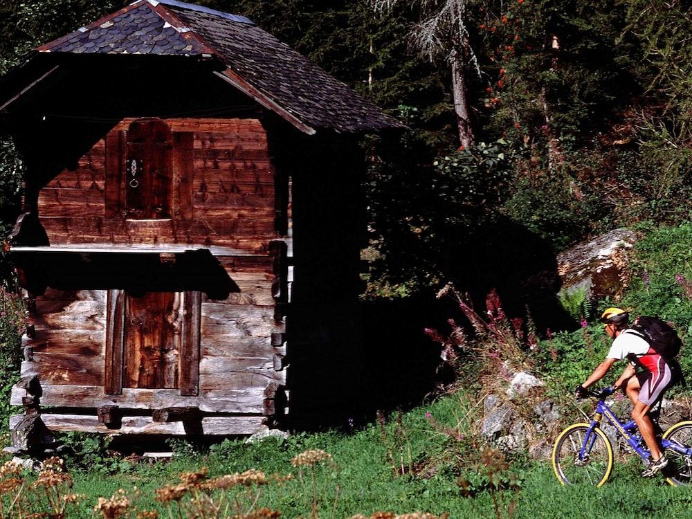 Algemeen