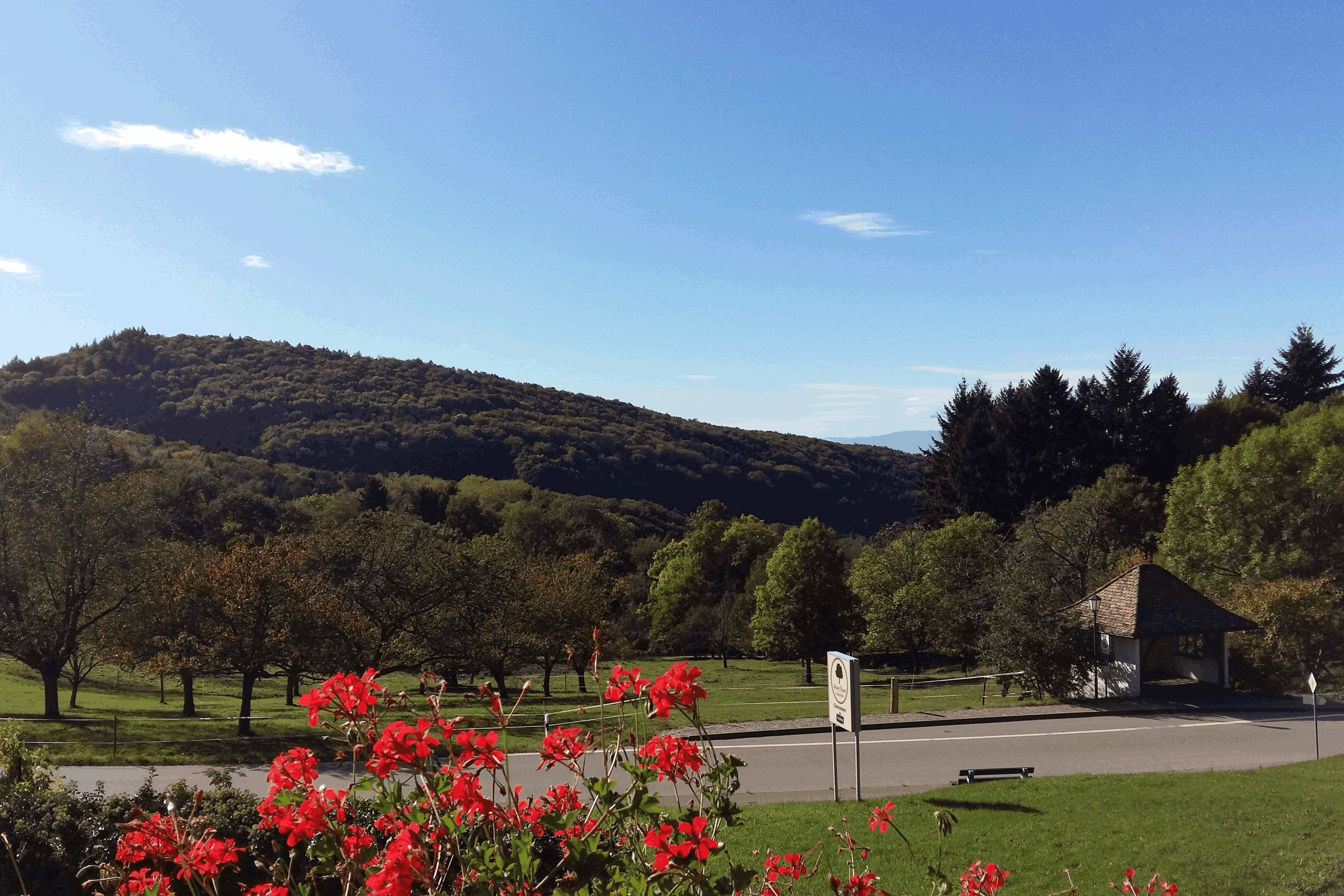 Ligging van het hotel