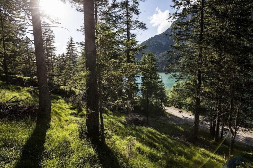 Algemeen
