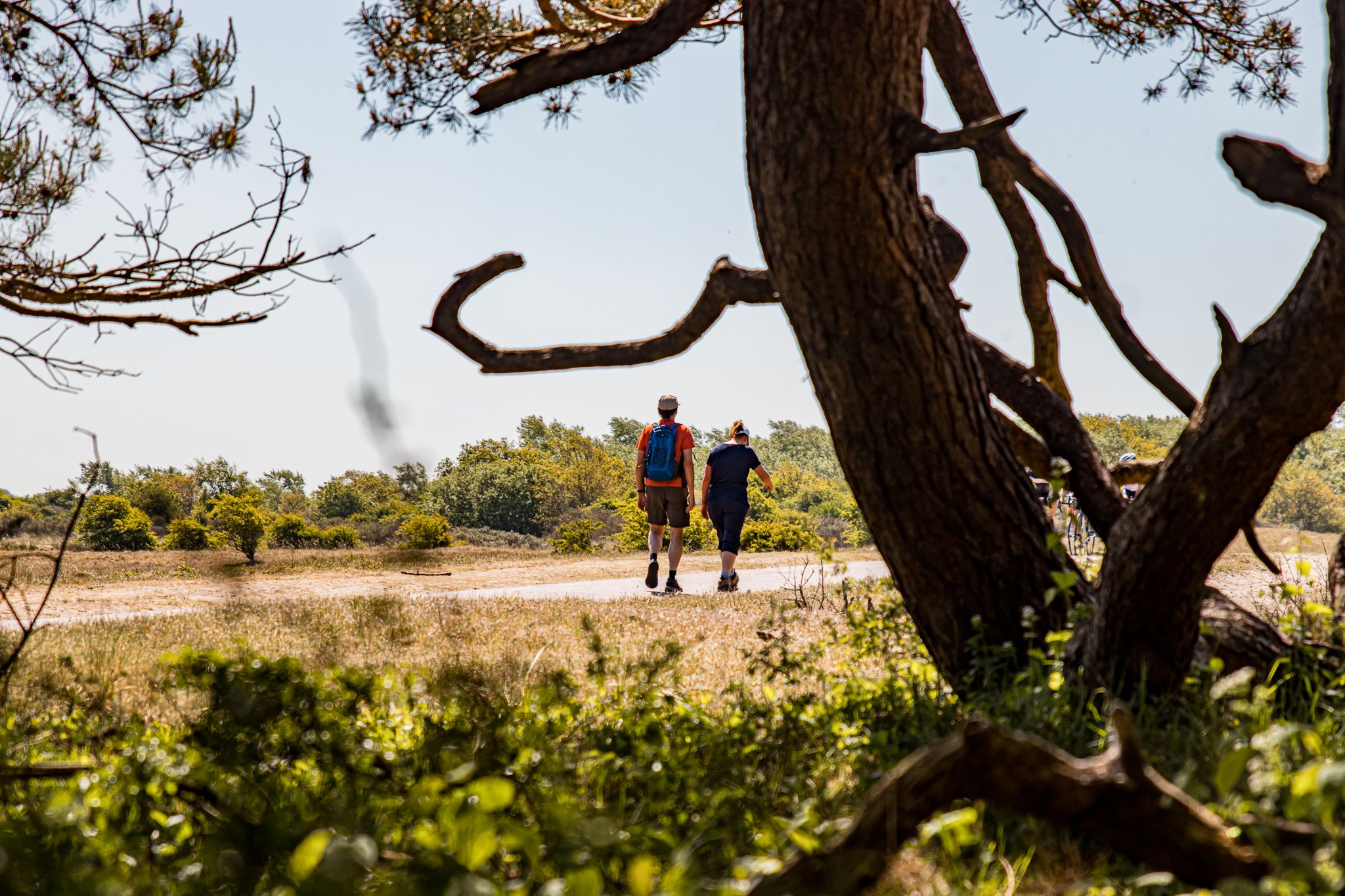 Ligging van het hotel