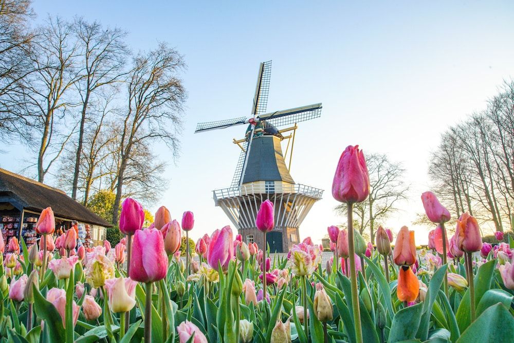Algemeen