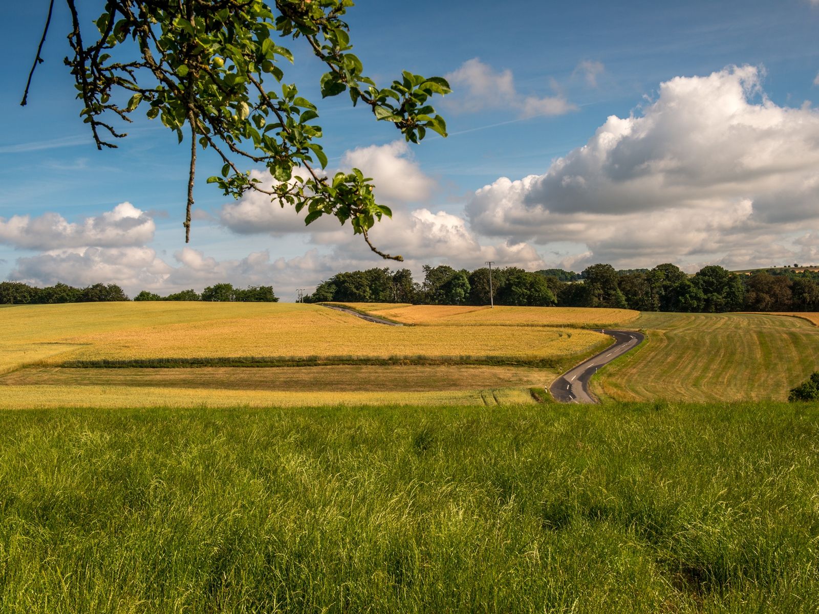 Ligging van het hotel