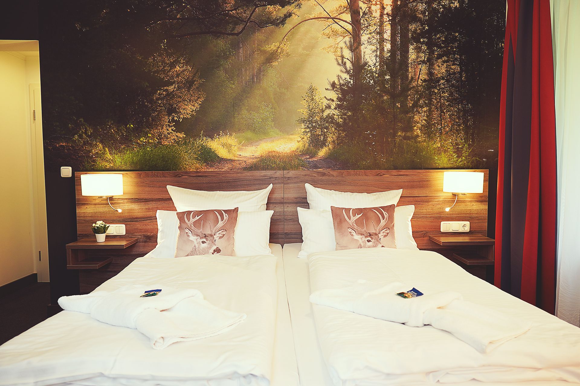 Kamer