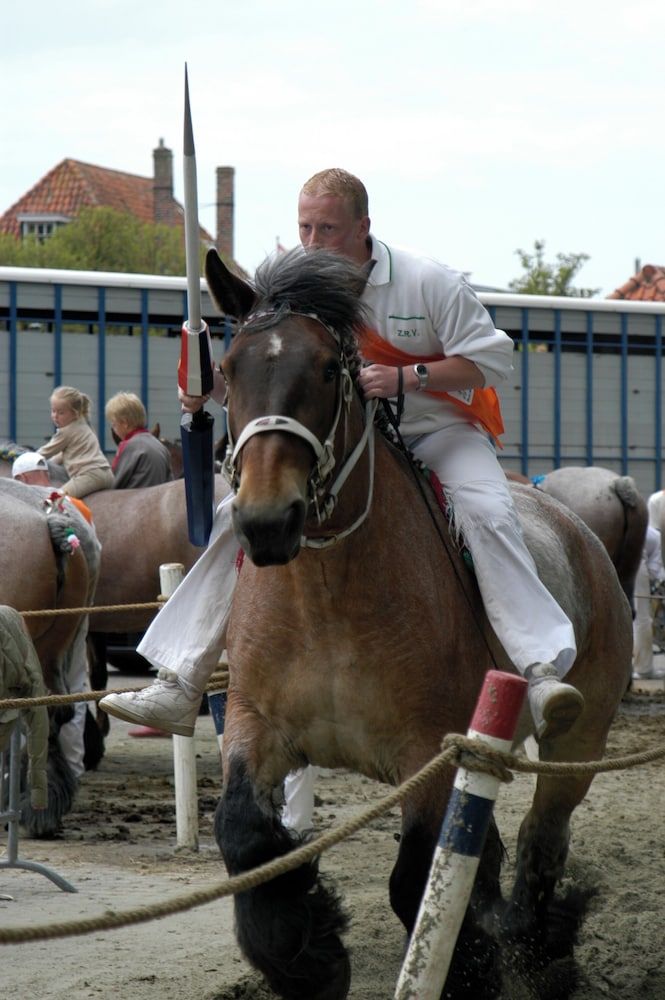 Algemeen