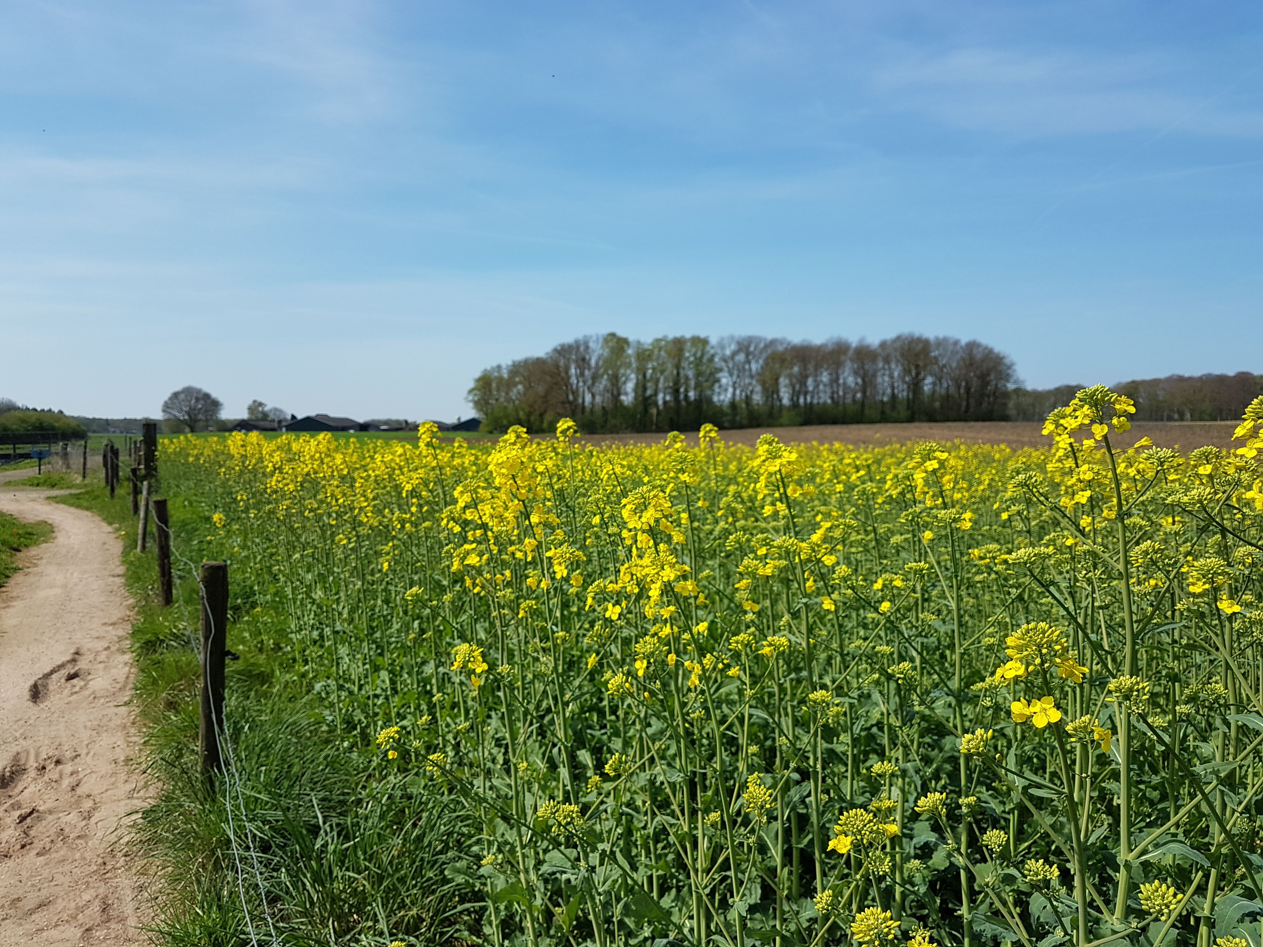 Ligging van het hotel