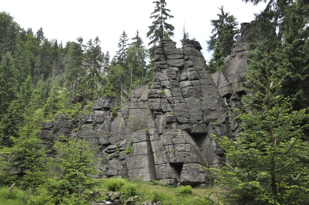 Algemeen