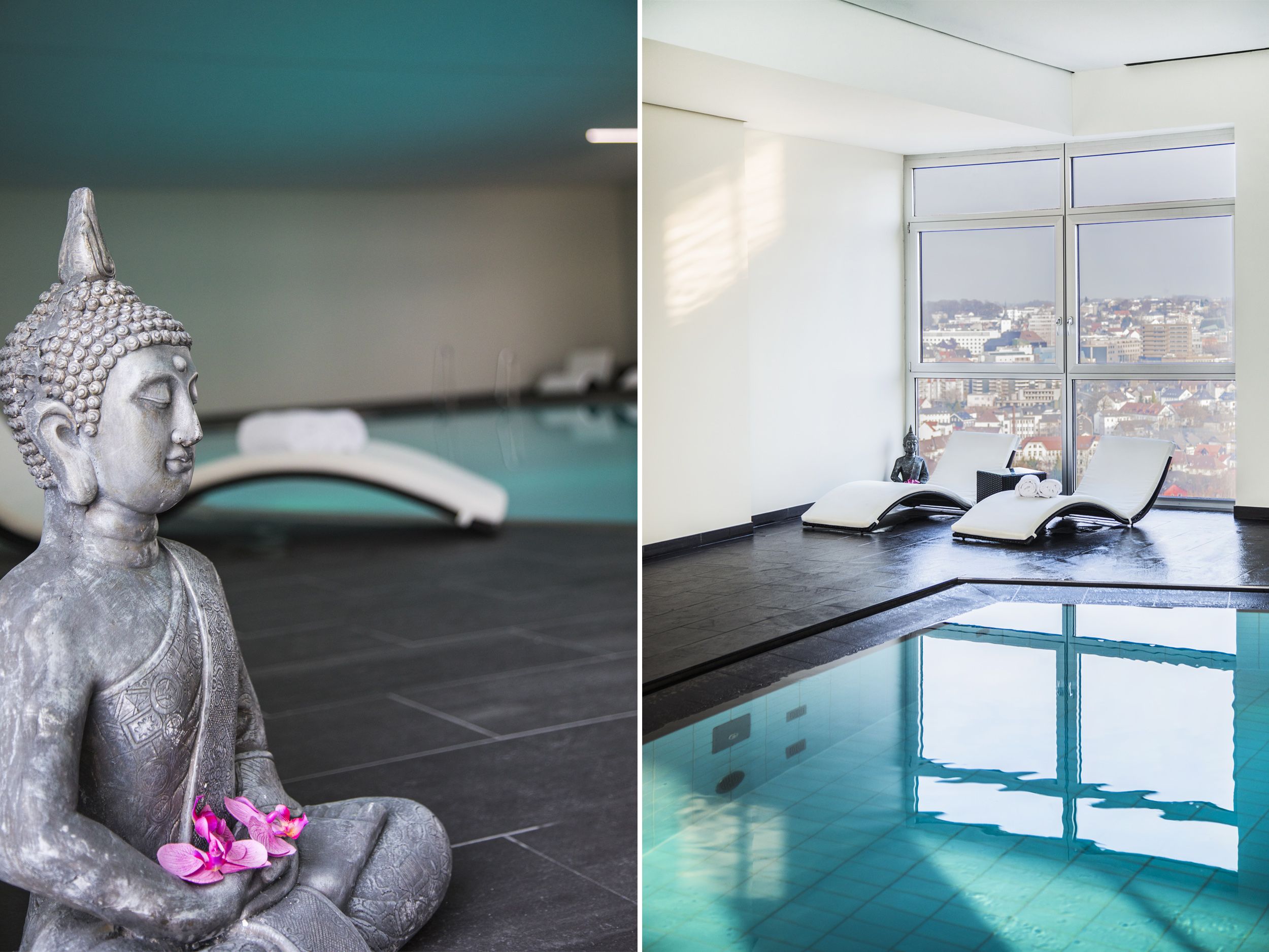 Wellness