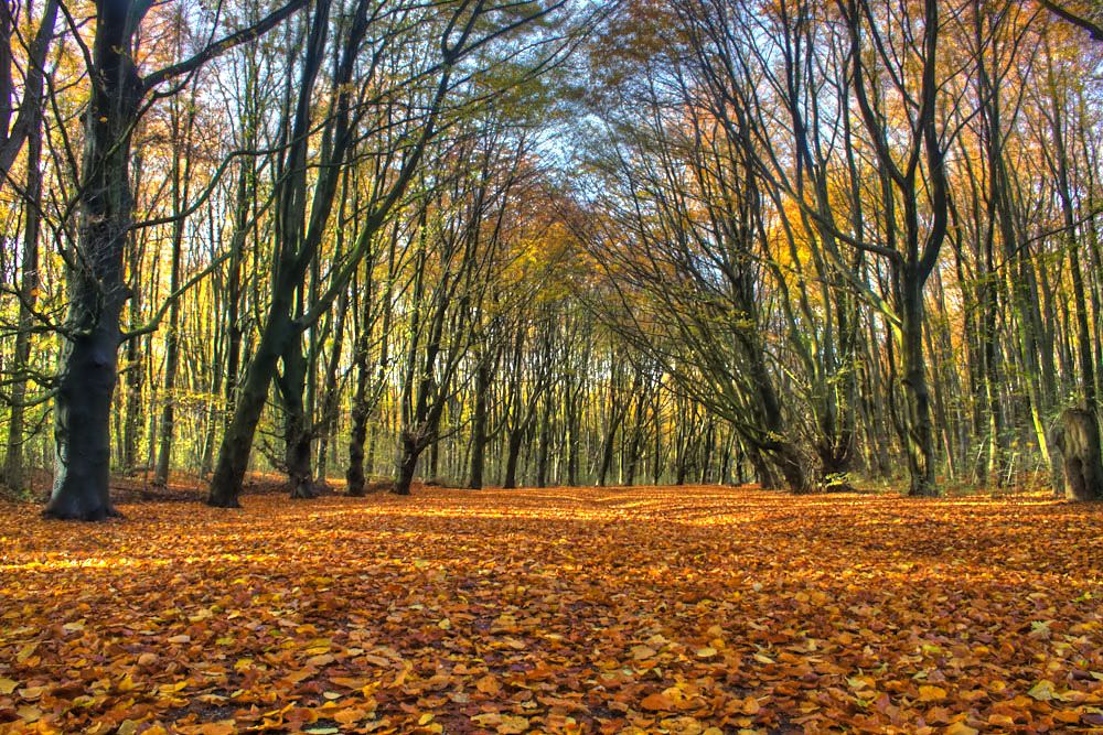 Ligging van het hotel