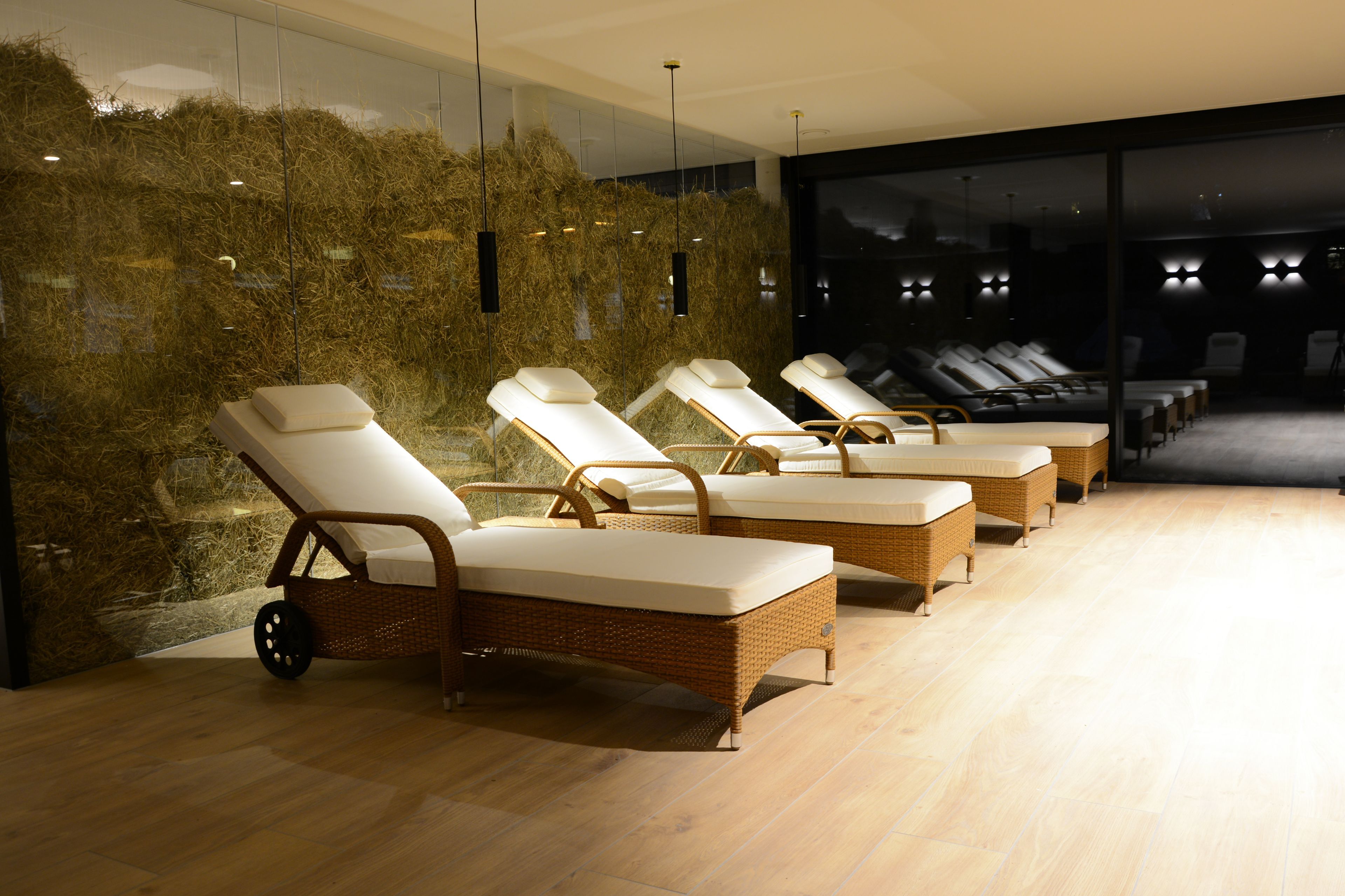 Wellness
