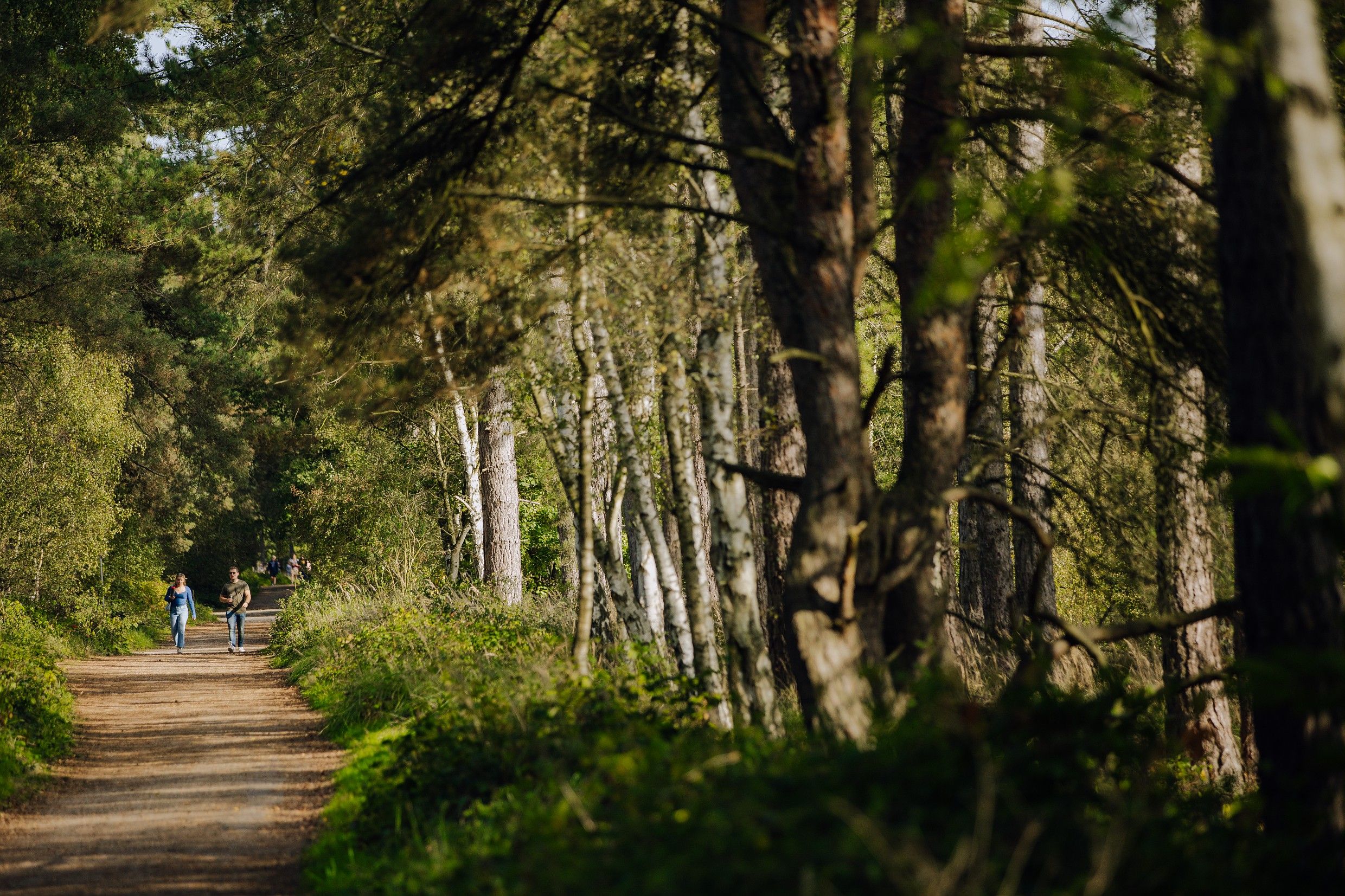 Ligging van het hotel