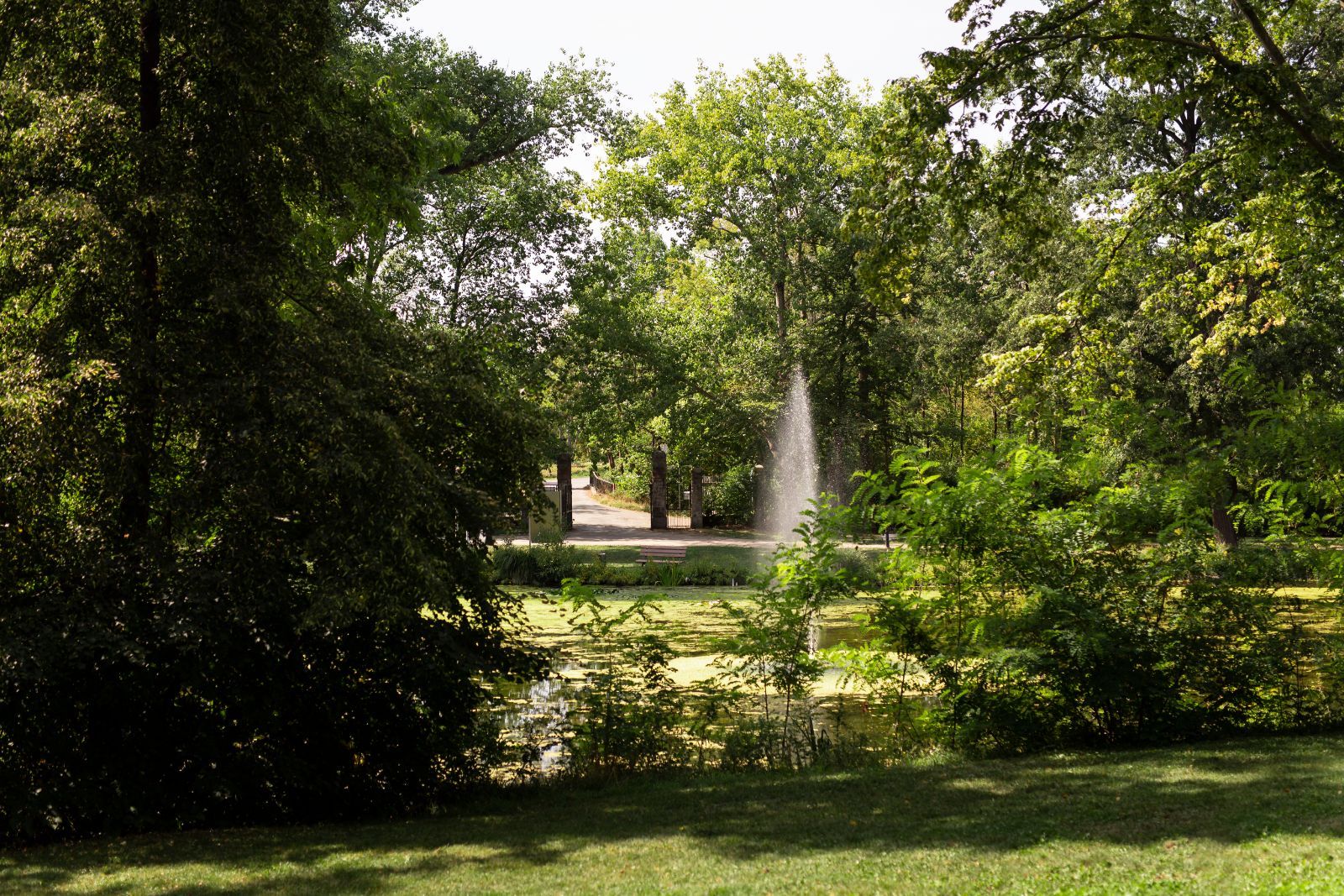 Ligging van het hotel