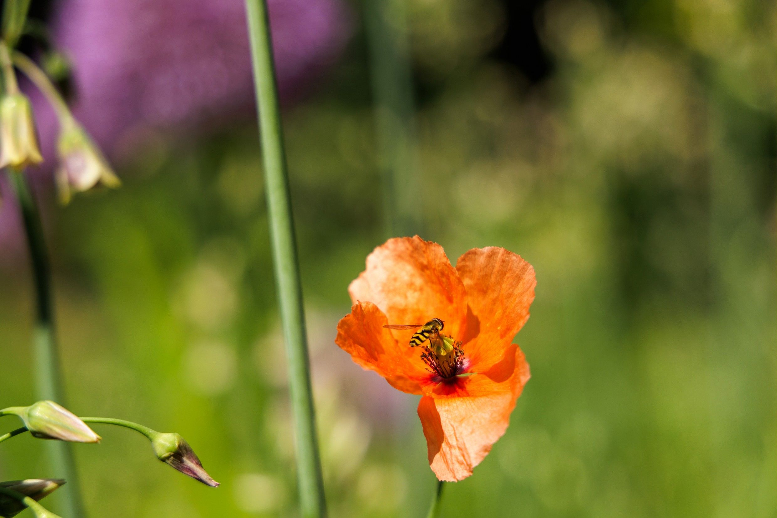 Ligging van het hotel