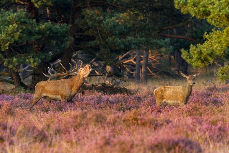 Ligging van het hotel