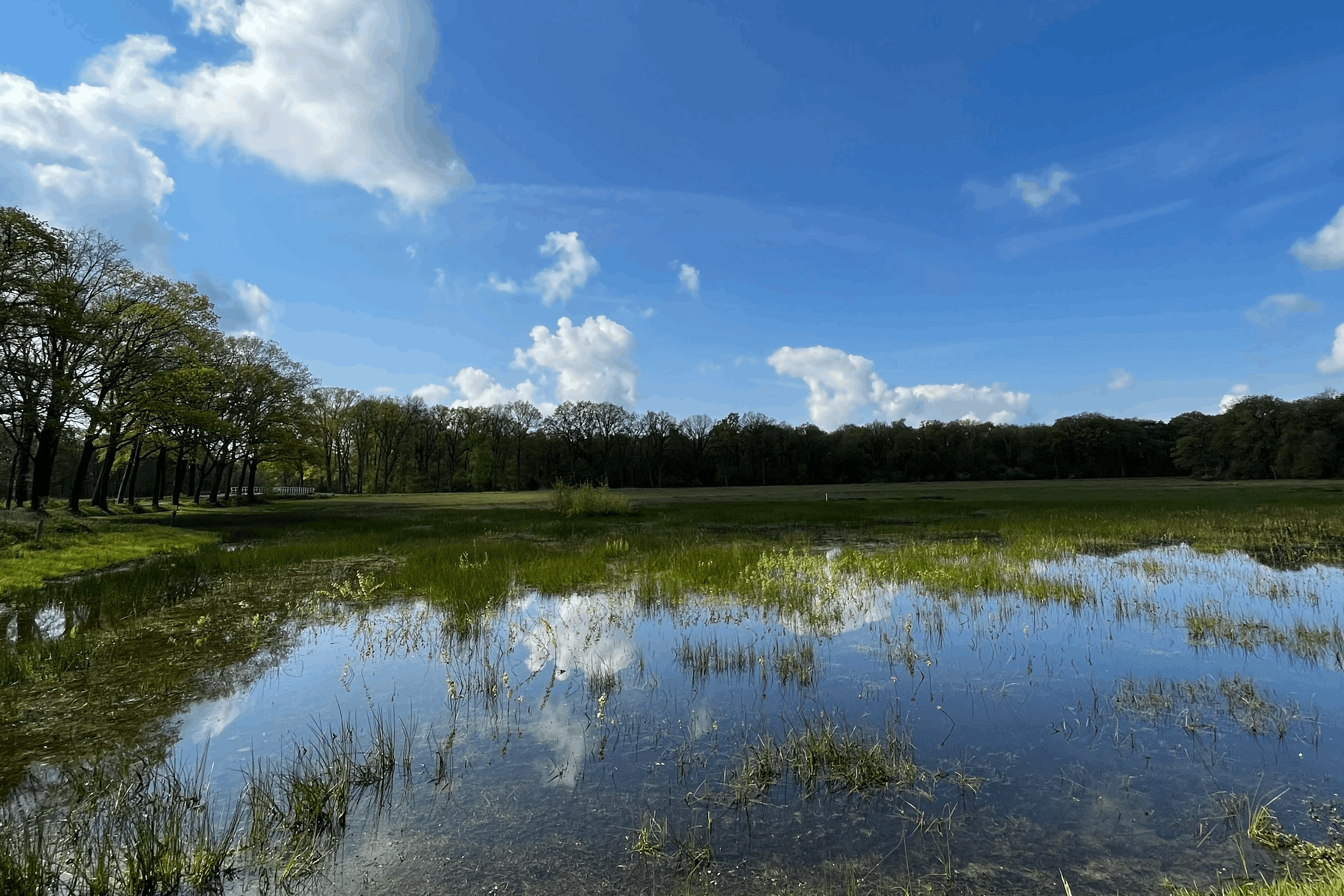 Ligging van het hotel