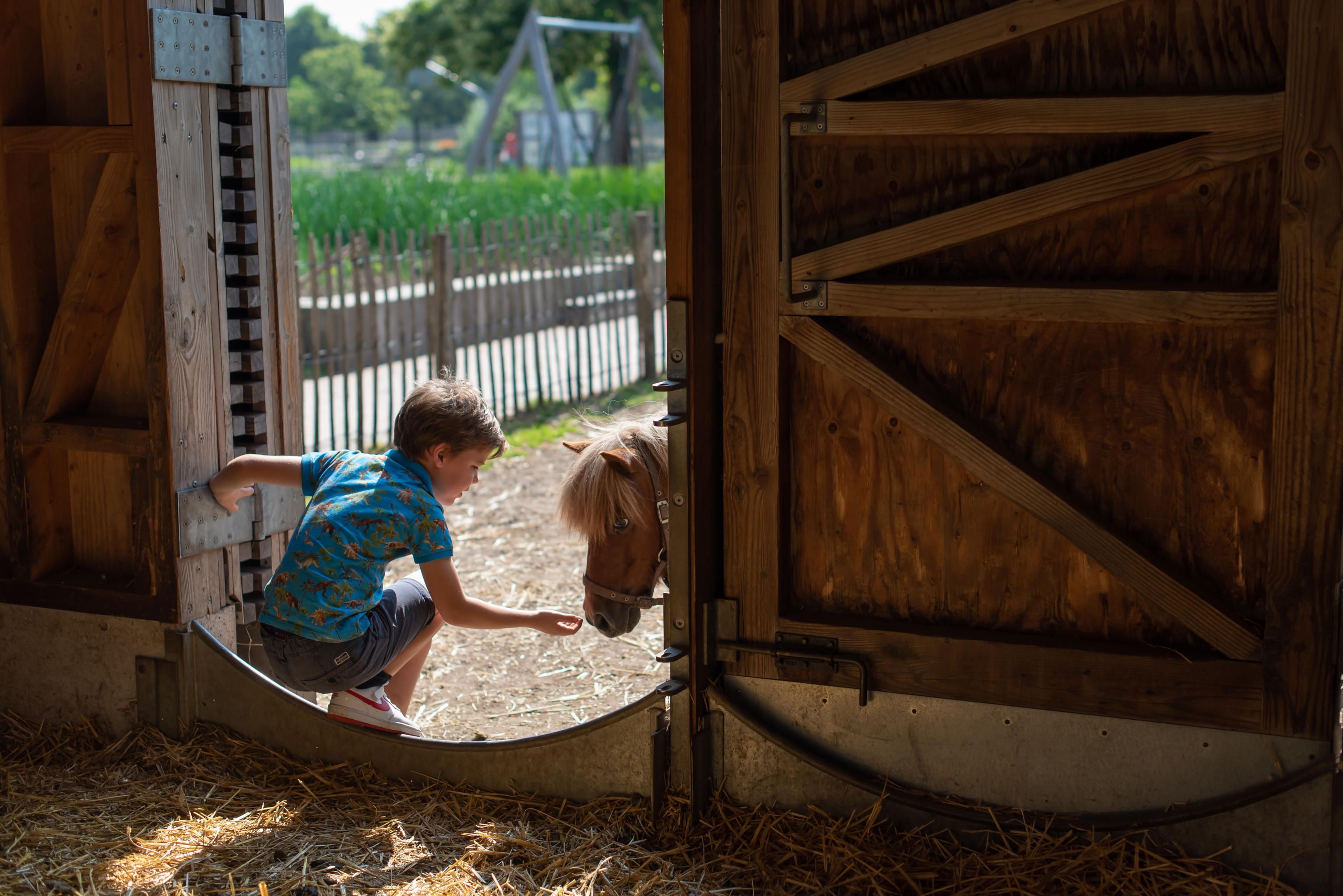Ligging van het hotel