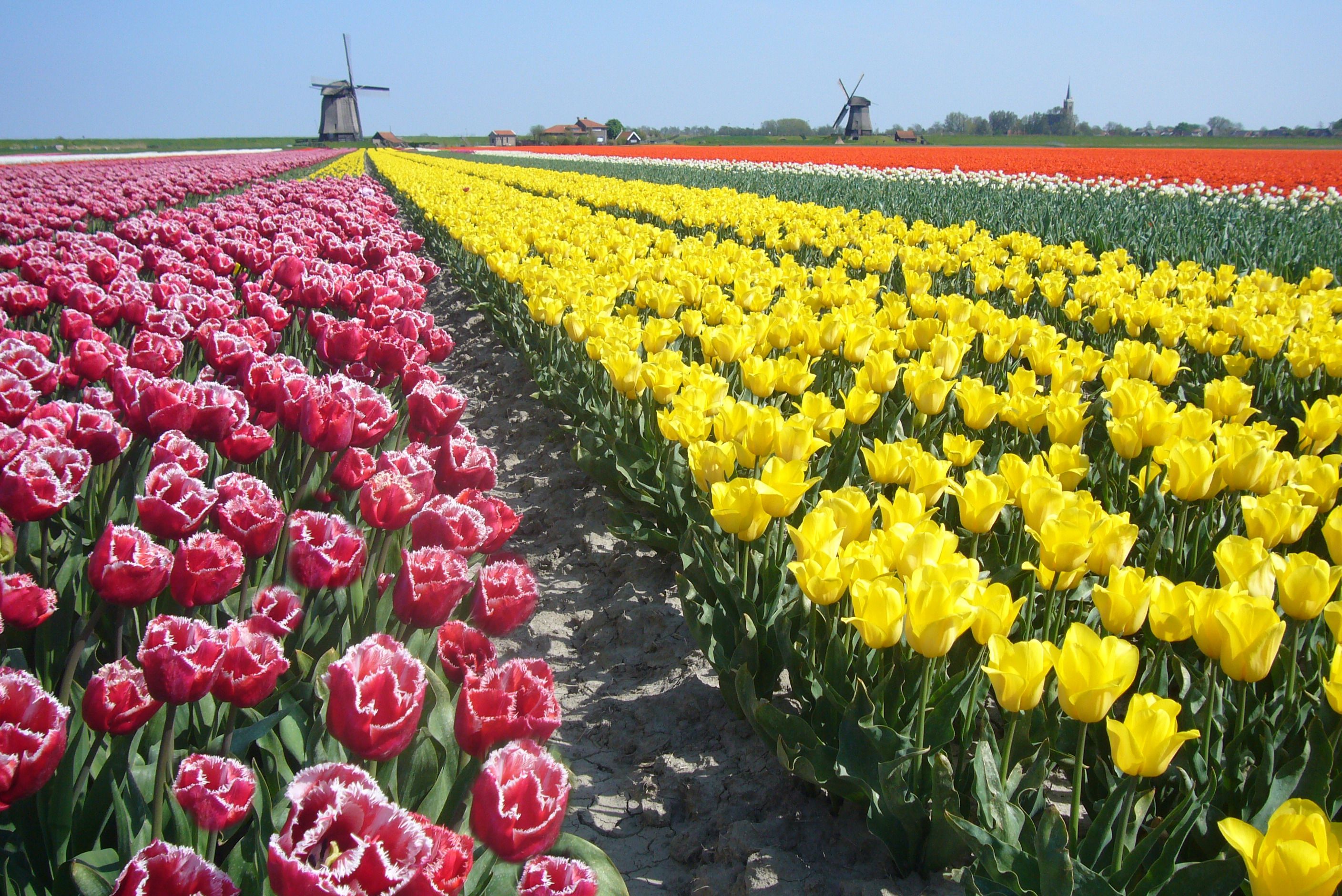 Ligging van het hotel
