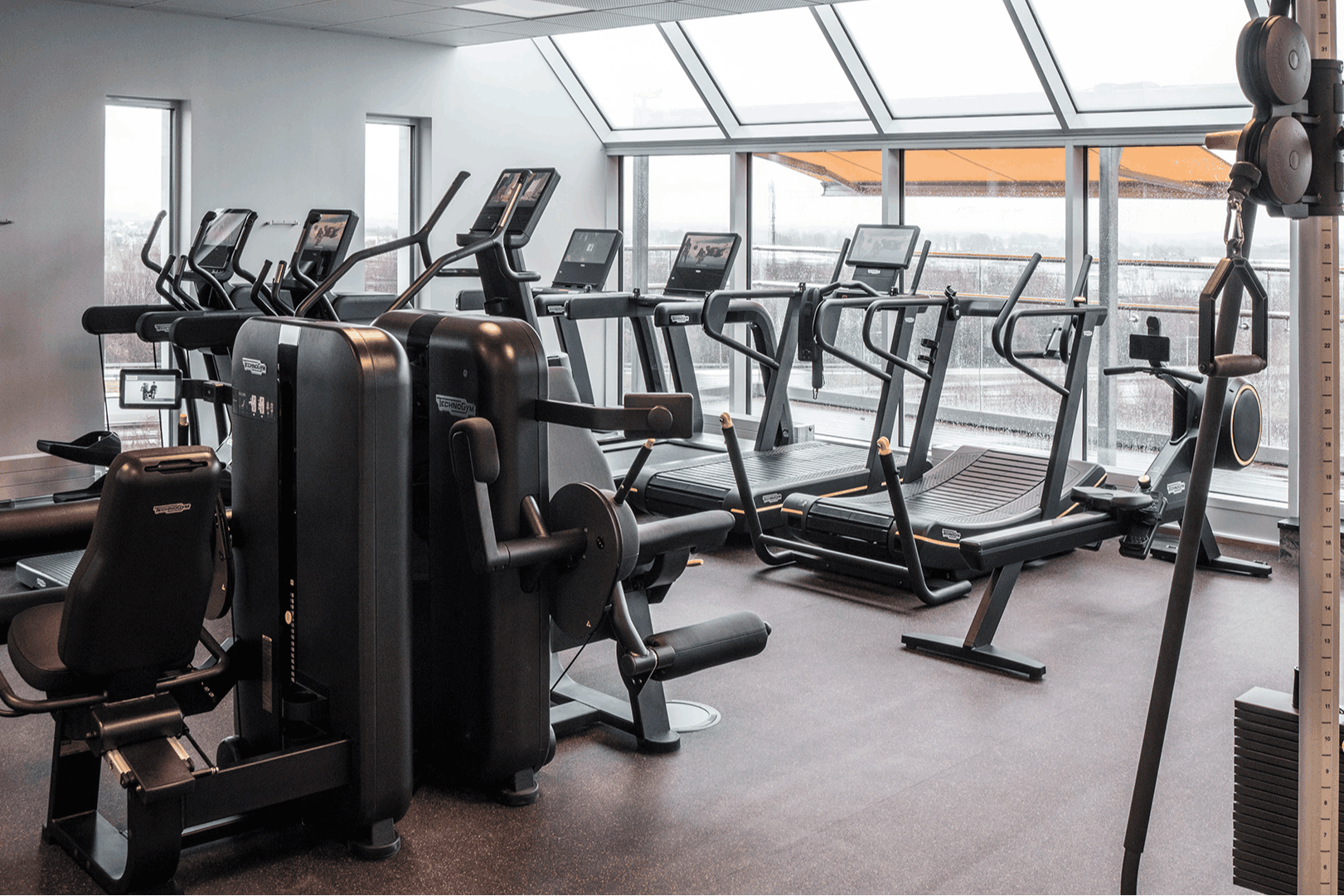 Wellness