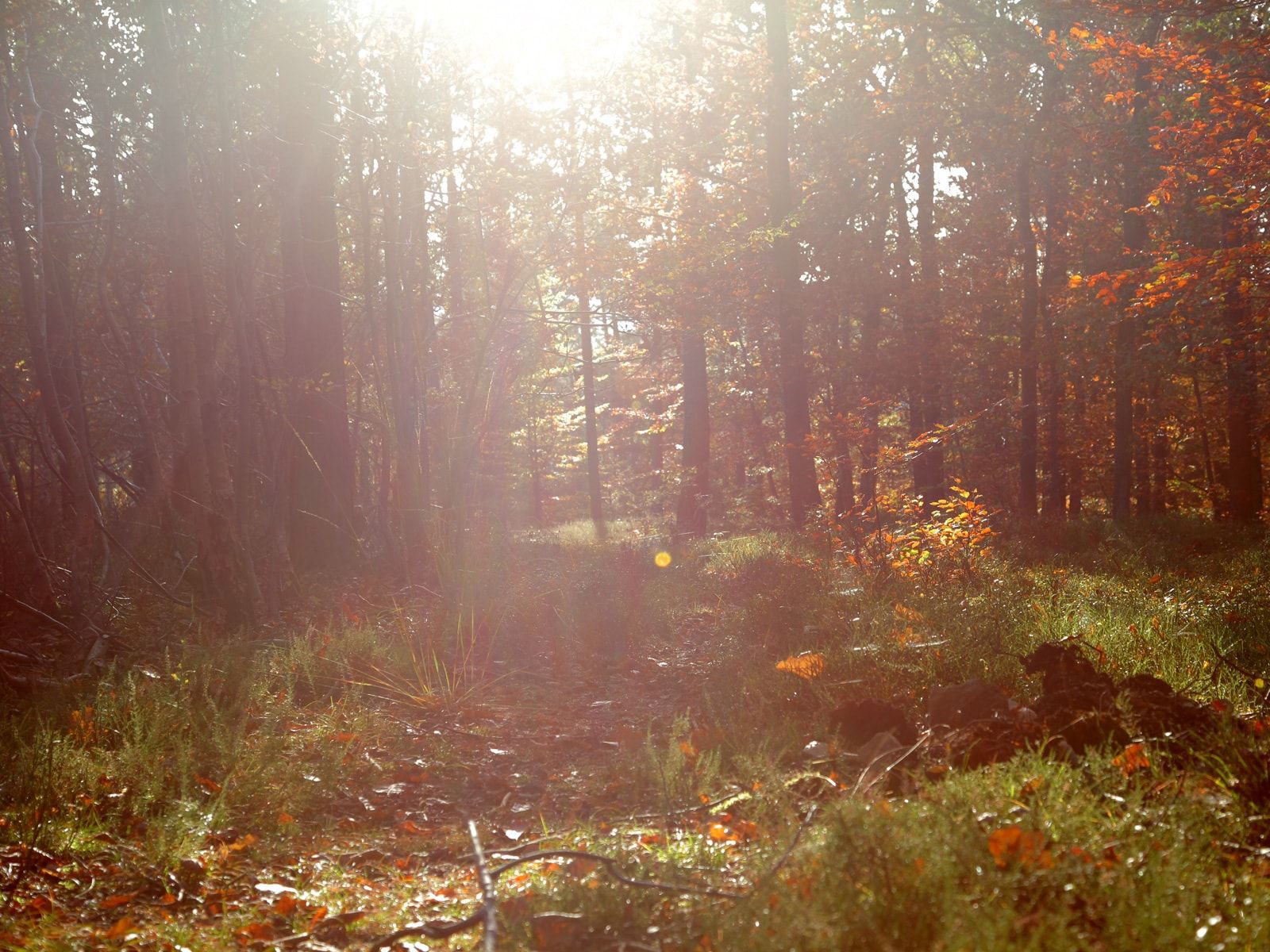 Ligging van het hotel