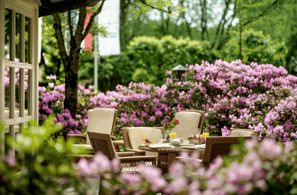 afbeelding van Verblijf & Diner