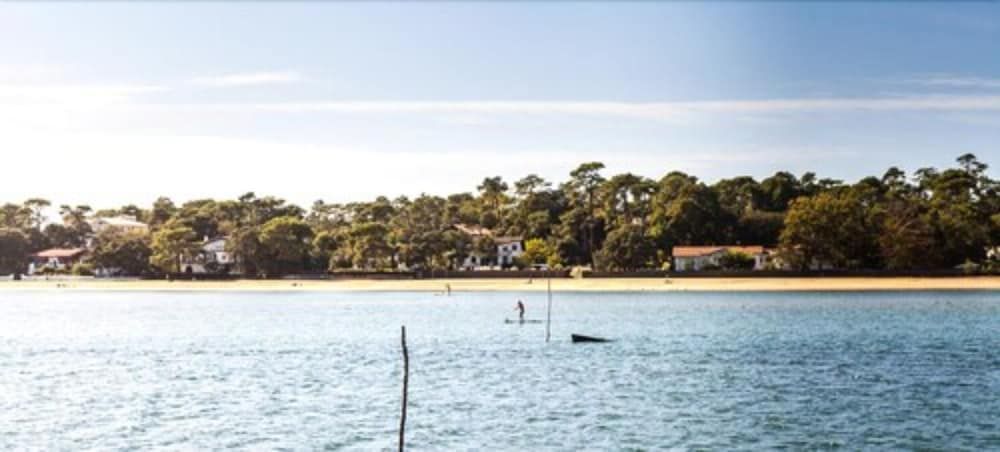 Algemeen