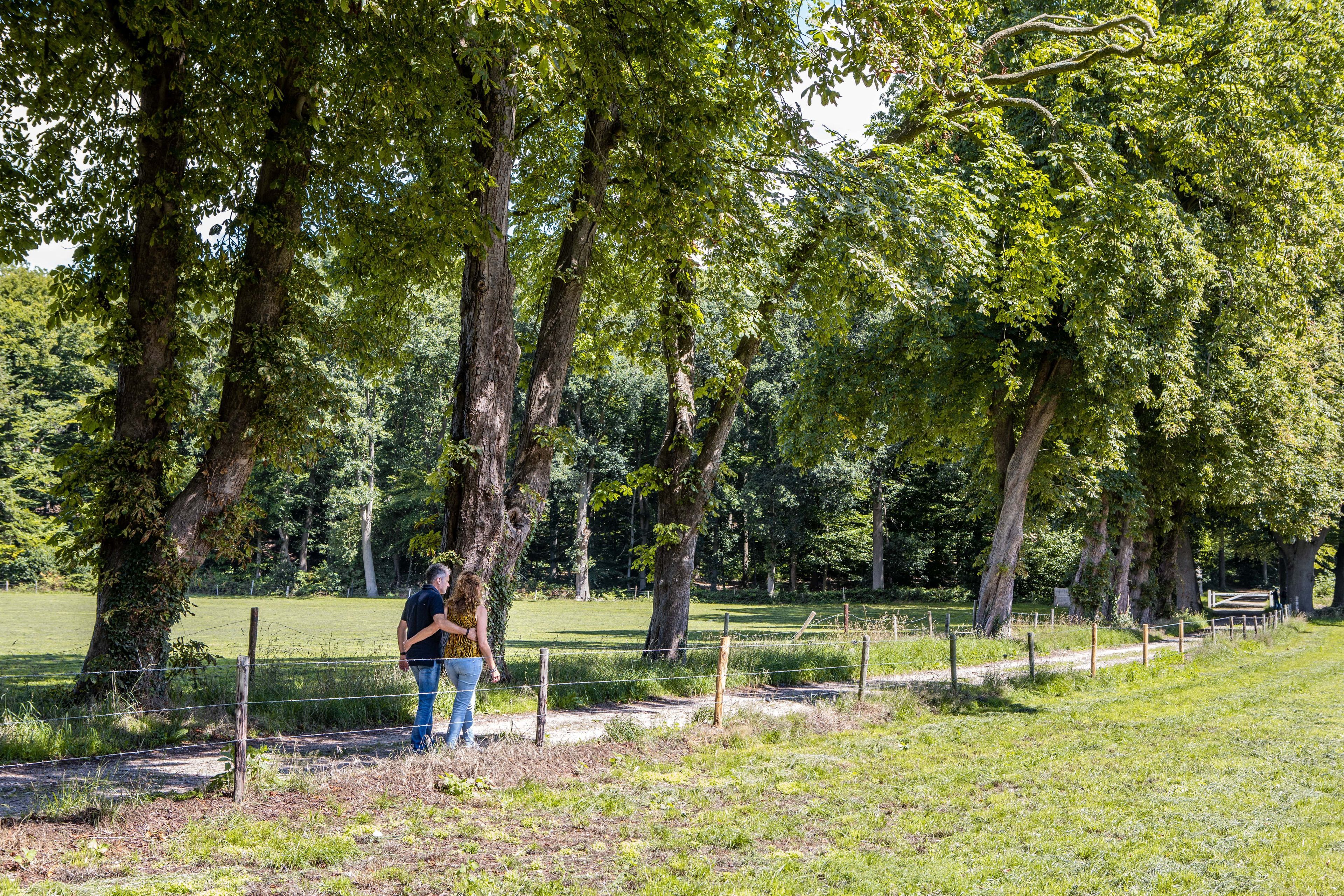 Ligging van het hotel