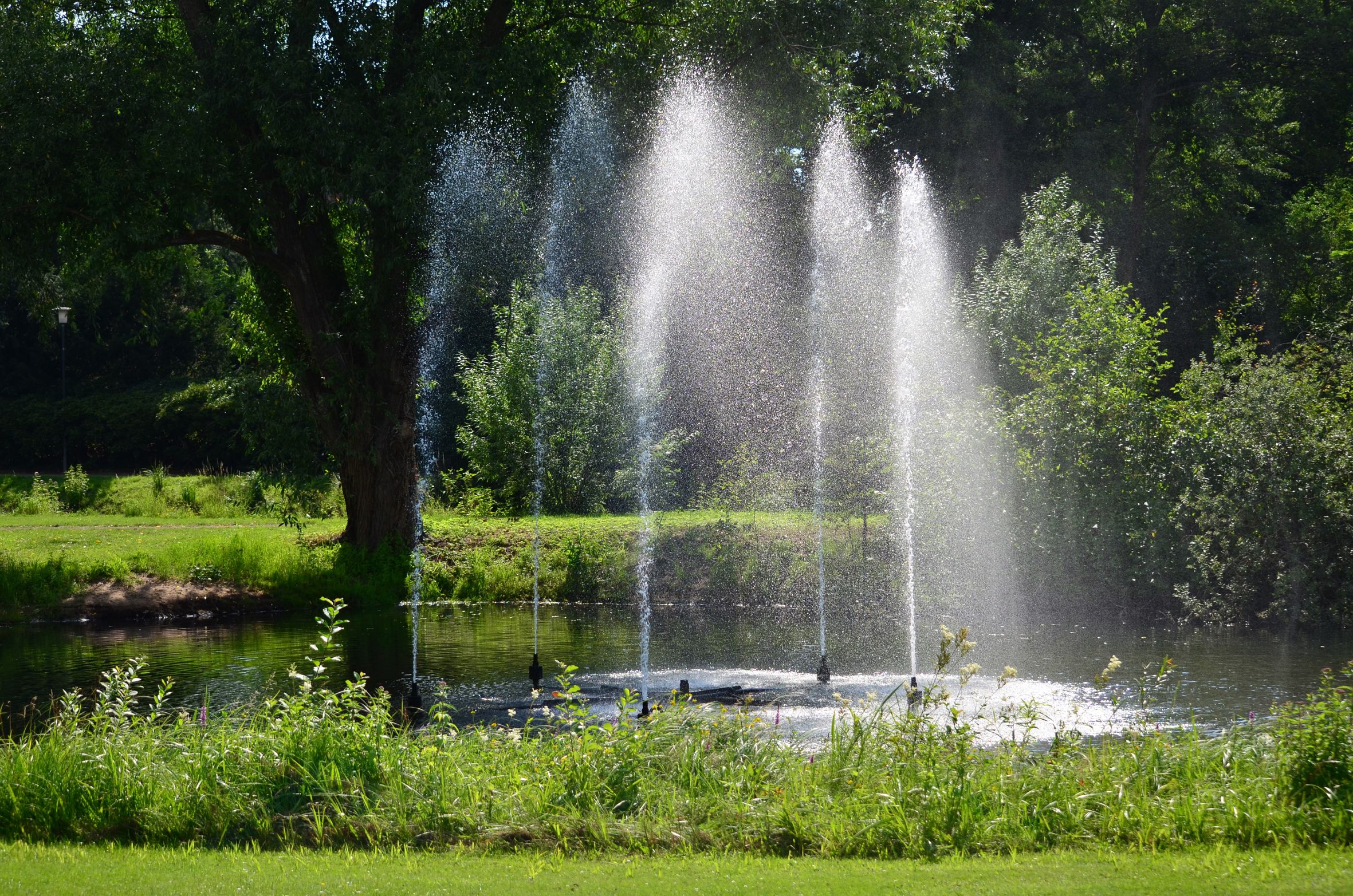 Ligging van het hotel
