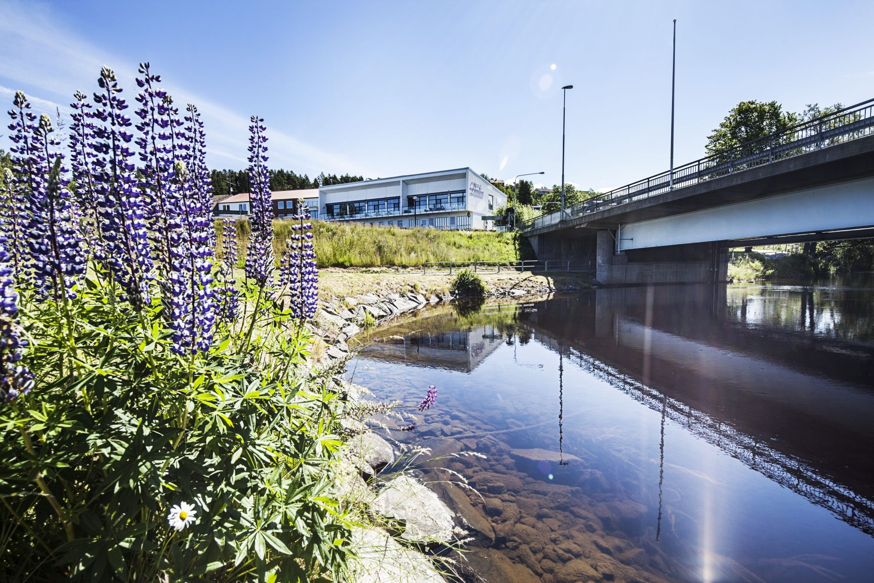 Ligging van het hotel