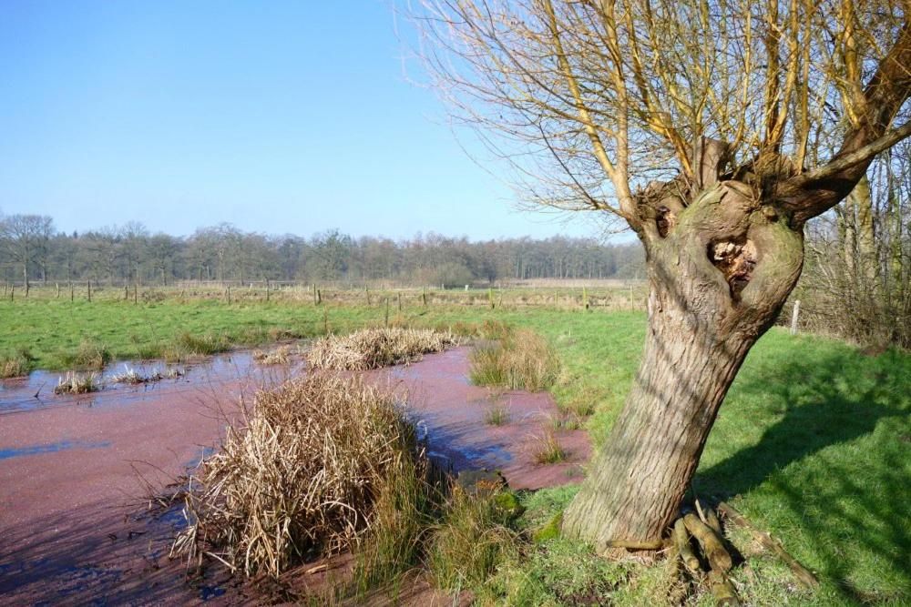 Ligging van het hotel