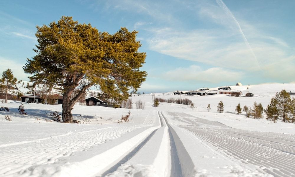 Algemeen